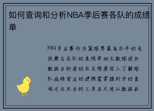 如何查询和分析NBA季后赛各队的成绩单